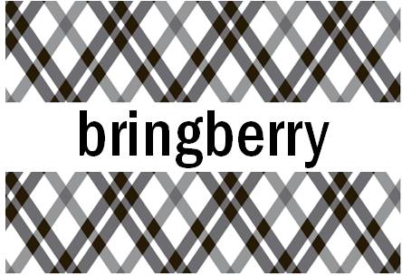 Square Weave - Magnetic Bag Closure – bringberry Handbag Hardware and  Designs
